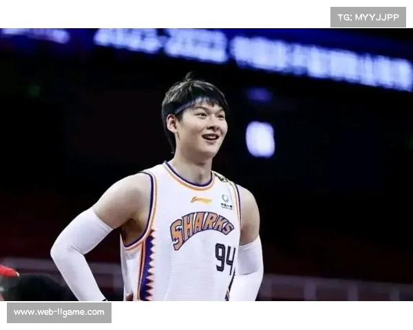 王哲林遭队友误伤倒地后坚持比赛,展现职业球员坚韧品质